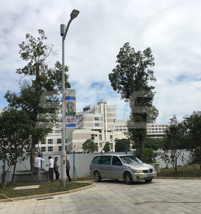 深圳龙岗聪明路灯