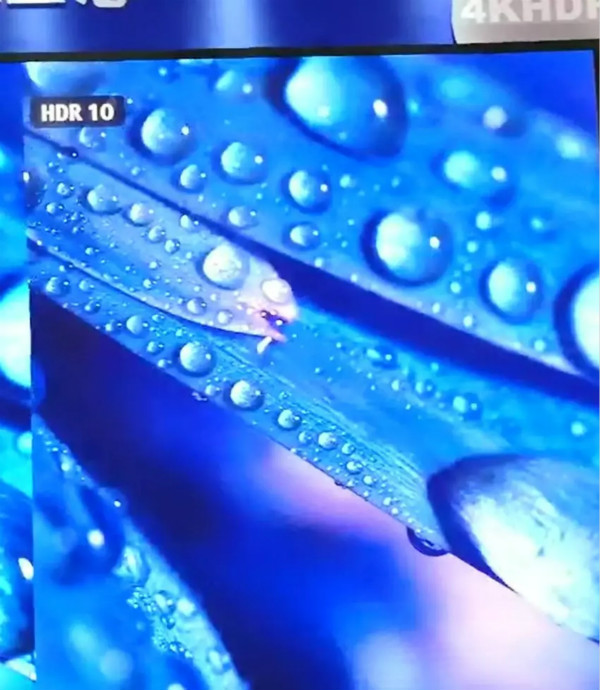 HDR手艺小间距屏