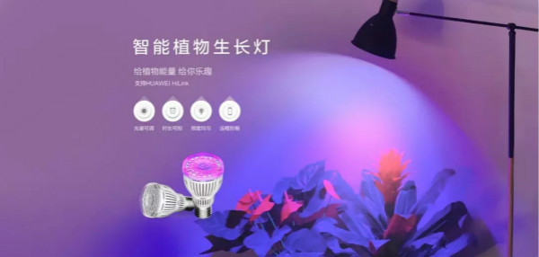 智能动物成长灯首发，上线获紧俏