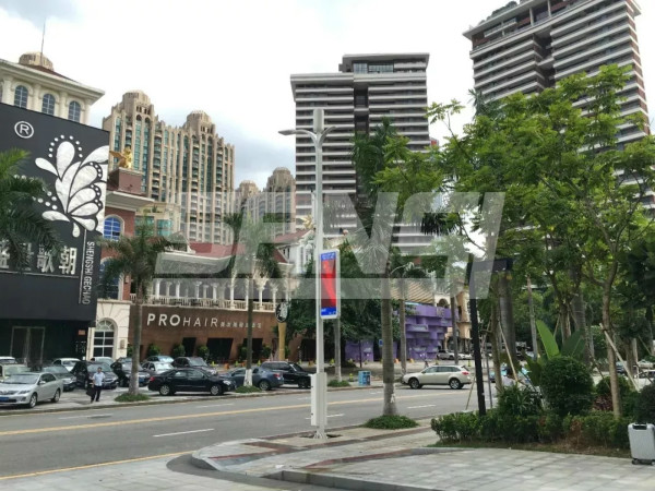 东莞聪明路灯名目