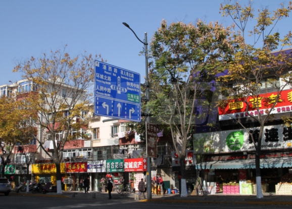 南通郊区三思LED陶瓷像素模块化路灯
