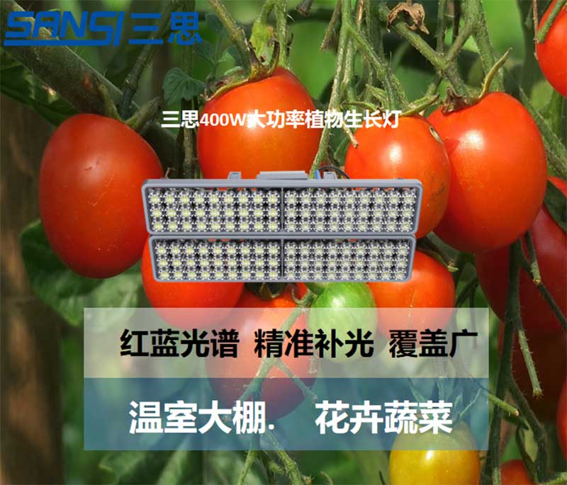 LED动物发展灯