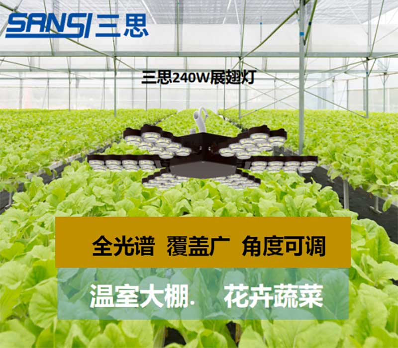 三思动物发展灯