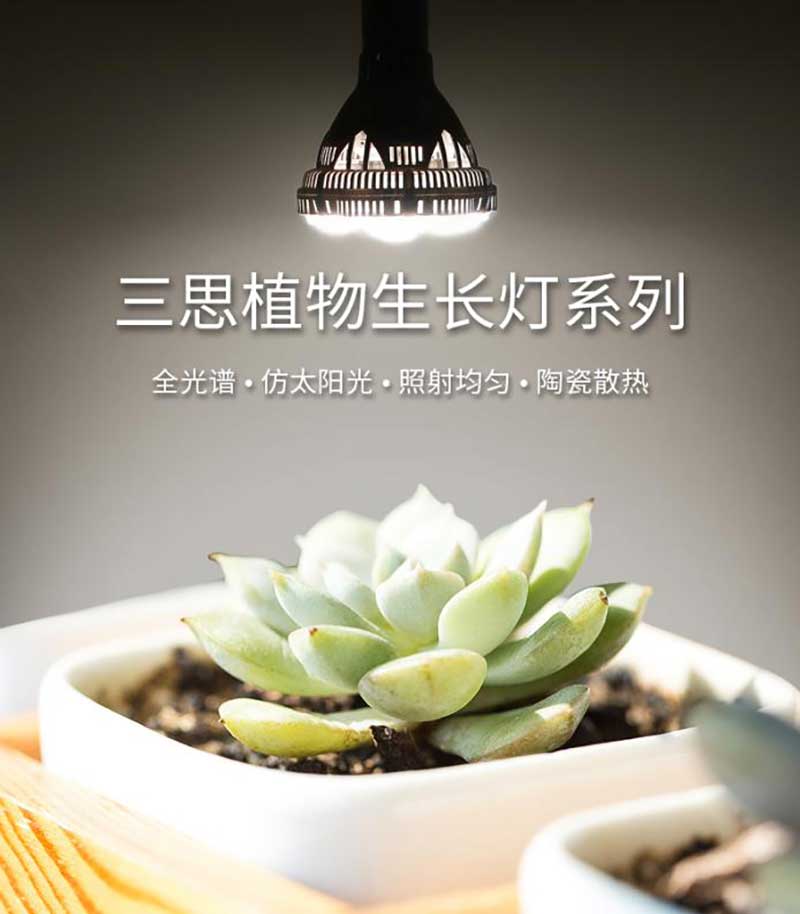 动物发展灯