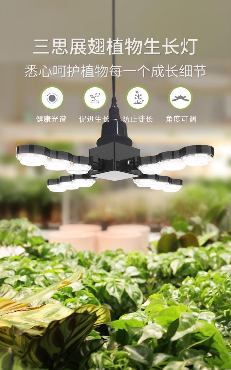 三思动物灯
