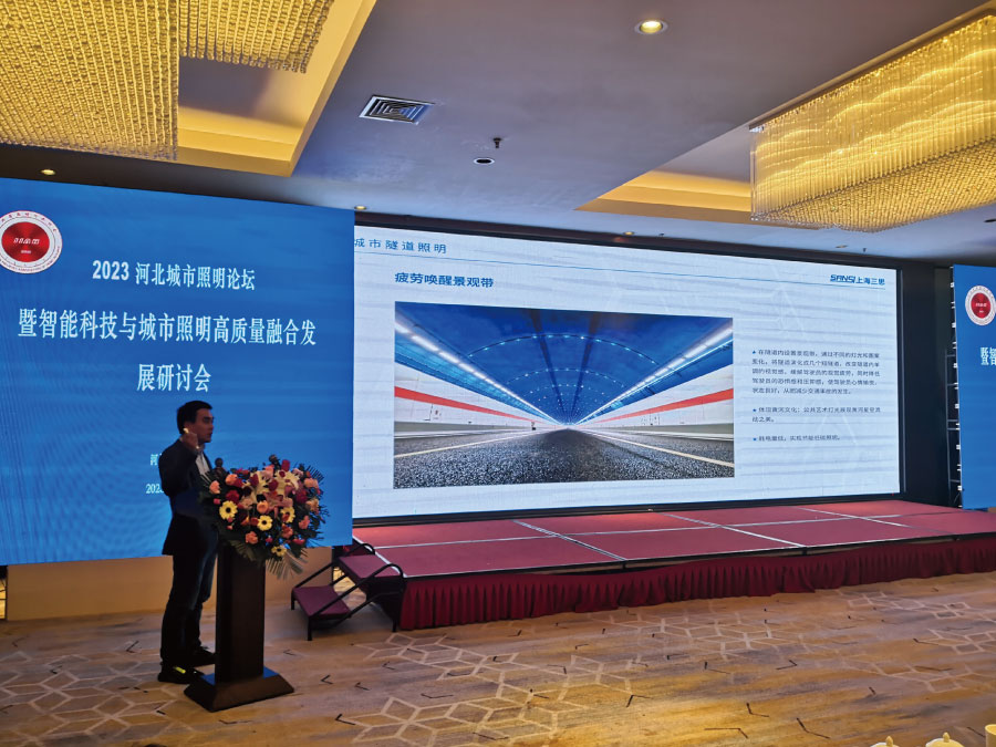 《光宁静与温馨性在都会途径照明中的利用》